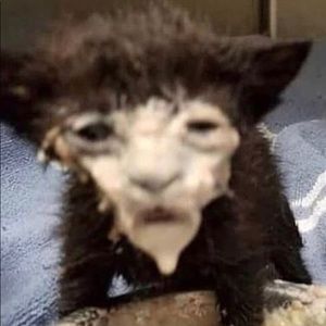 Meet your Posher, Kenny